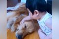赤ちゃんの枕になっ…の画像
