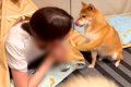 犬は自分の部屋に『…の画像