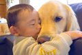 大型犬が赤ちゃんに…の画像