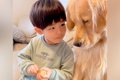 男の子がみかんを食…の画像