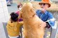 大型犬と子供が待っ…の画像