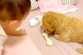 おやつを奪われると…の画像