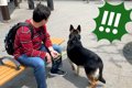 旅行中に会うはずが…の画像