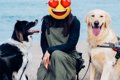 ２頭の犬と一緒に『…の画像