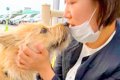 犬が5日ぶりに『お母…の画像