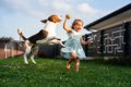 犬の飼うことと子ど…の画像