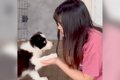 生後2ヵ月の子犬が『…の画像