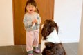 2歳の女の子が『犬に…の画像