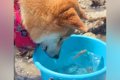海で磯遊び中、バケ…の画像