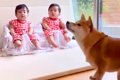 赤ちゃんたちの前で…の画像