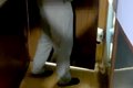 保護犬と『3日ぶりに…の画像