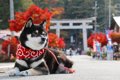 犬も人間と同じよう…の画像
