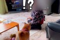 2匹の犬が『おばあち…の画像