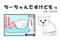 ちーちゃんですけど…の画像