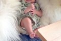 ヤンチャな39キロの…の画像