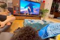 テレビで『動物が突…の画像