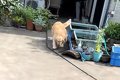 実家に帰省した男性→…の画像