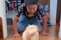 小学校から帰ってき…の画像