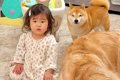 1歳の女の子が悪いこ…の画像