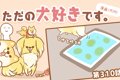 ただの犬好きです。…の画像