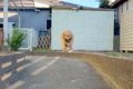 「全然動いてないｗ…の画像