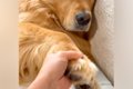お母さんには適当な…の画像