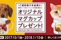 ★残り5日★世界に1つ…の画像