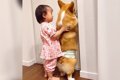 犬が飼い主を追いか…の画像