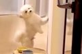 イタズラの犯行現場…の画像