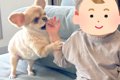1歳の男の子に『遊ぼ…の画像