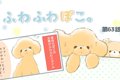 ふわふわぽこ。【第6…の画像