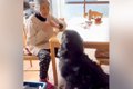 おばあちゃんの家に…の画像