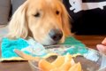『桃食べる？』と大…の画像
