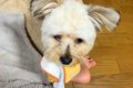 新生活に疲れ泣いて…の画像