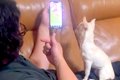 SNSで見かけた『犬の…の画像