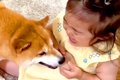 2歳の女の子が『犬に…の画像