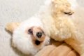 なぜか毎日『同じ時…の画像