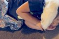 3歳の女の子と超大型…の画像