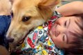 仲良しな元野犬の子…の画像