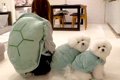姉と犬2匹で『おそろ…の画像