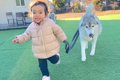 2歳の女の子が『大型…の画像