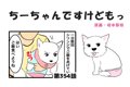ちーちゃんですけど…の画像