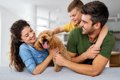 犬を迎える前に知っ…の画像
