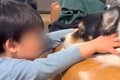 『男の子のおもちゃ…の画像