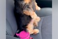 車の助手席に乗って…の画像