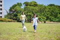 小型犬に必要な『一…の画像