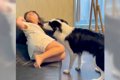 犬が家族に嫌がられ…の画像