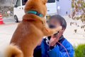 朝、佐川急便の配達…の画像