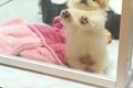 『閉じ込められた！…の画像