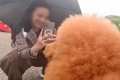 京都に来た『アニメ…の画像